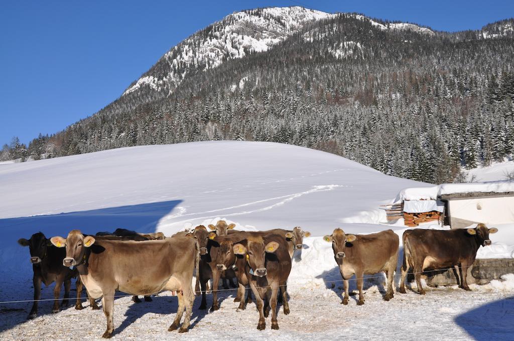 Bauernhof Haim-Schnepfleitner Pichl bei Aussee Екстер'єр фото