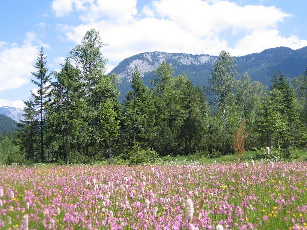 Bauernhof Haim-Schnepfleitner Pichl bei Aussee Екстер'єр фото